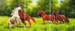 iPicasso Set 3 picturi pe numere, cu sasiu, Spirit liber, 50 x 120 cm (PC34050020)