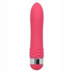 Toyz4Lovers Vibrátor Timeless Neon Dream (1-00904442)