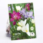 VERVE Frezie Pastel VERVE, mix