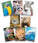 Pigna Animal A4 tűzött 42 lapos kockás füzet (P1111-0319) (P1111-0319)