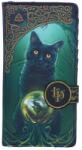 Nemesis Now Портмоне Nemesis Now Adult: Magic - Rise of the Witches (by Lisa Parker) (B7342A26)