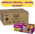 Whiskas Whiskas Baromfilakoma 120x85g zselében + WHISKAS 40x85g Ízkeverék