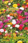 Hobby Seminte flori de piatra Hobby