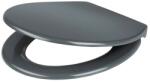 GoodHome Capac WC GOODHOME Cooke & Lewis, inchidere lenta, termoplastic, gri