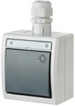 AQUANT intrerupator simplu PT IP65 gri