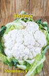 Hobby Seminte conopida, snowball Hobby
