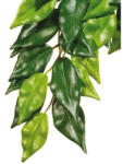 Hagen Exo Terra Ficus nagy 70 cm