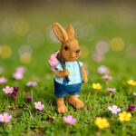  NYUSZISHOP. HU - Barna fiú nyuszi kék ruhában