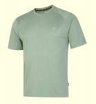 Dare2b MOMENTUM TEE sportpóló, zöld, poliészter, szellőzővel és hátsó zsebbel, XS INTL (DMT681j7z5063019154343)