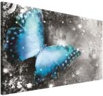DEGRETS Vászonkép DEGRETS 78094, 75x100cm (78094)