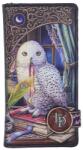 Nemesis Now Portofel Nemesis Now Adult: Magic - Guardian of Spells (by Lisa Parker) (B7343A26)