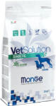 Monge VetSolution Száraz Gyógytáp Kutyáknak (Cukorbetegségre) - 2 kg