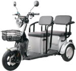 RPX-TRI Scutere si atv TRICICLU DOUA LOCURI - 1000W / 60V / 20AH / GRI (TRI-DLG) - pcone