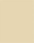 FOLIA Dekorkarton, 2 oldalas, 50x70cm, 220 g, 10 lap, FOLIA, bézs (6122/10 10)