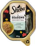 Sheba Seasons Collection alutálkás nedves macskatáp szószban - Őszi kiadás