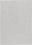 Takoy Szőnyeg BAM 304 ezüst 120 x 170 cm