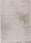 Takoy Szőnyeg CMF 501 világos taupe 200 x 290 cm