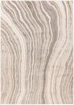 Takoy Szőnyeg SED 402 bézs-ezüst 200 x 290 cm