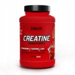 Evolite Nutrition Evolite Creatine Monohydrate 1000g Kreatin 1kg (EVO434)
