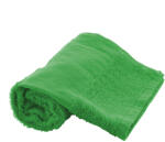  Terry S pamut frottír törölköző - 30×50 cm (AP592998-07)