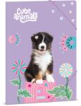 Ars Una Cute animals- Aussie A/4 gumis dosszié (50215287) - grapa