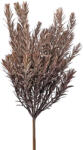 Valex Decor Vízfű műnövény ág, 35cm magas - Világosbarna (AF118-03)
