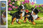 NORIMPEX - Puzzle Pictură cu diamant: Cățeluși jucăuși 30x40cm - 1 - 39 piese