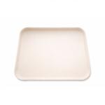 Casa Plastor Tava servire, 45x31 cm, Gastro (43410) Tava