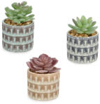Bizzotto Set 3 plante suculente artificiale in ghiveci ceramica Ø7x11h (0173169)