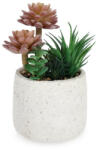 Bizzotto Planta suculenta artificiala in ghiveci Ø14x24h (0173179)