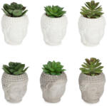 Bizzotto Set 6 plante suculente artificiale in ghiveci ceramica Budha Ø8x12h (0173176)