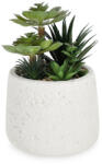 Bizzotto Planta suculenta artificiala in ghiveci Ø15.5x24h (0173180)