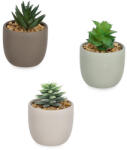 Bizzotto Set 3 plante suculente artificiale in ghiveci ceramica multicolora Ø7x10h (0173171)