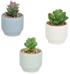 Bizzotto Set 3 plante suculente artificiale in ghiveci ceramica multicolora Ø7x11h (0173170)