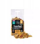 Arcadia Szárított virágok hüllőknek vitaminokkal Arcadia FlowerBoost