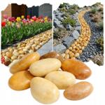  Sárga Burkolat Arany Díszkő 5 Kg Kert Dekoráció 2-4cm