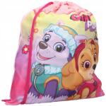 Vadobag Europe Tornazsák Iskolai Cipőkhöz Mancs Őrjárat Skye Everest Rózsaszín (520-4518)