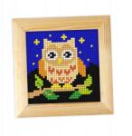 Orchidea Hímzés Kerettel. Az Első Hímzésem Bagoly (6716)