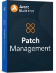 Avast Software Securitate Avast Software Securitate Avast PMG. 0.12M (PMG.0.12M)