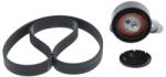 Bosch Set curea transmisie cu caneluri BOSCH 1 987 600 776 (1 987 600 776) - automobilus