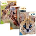 Ars Una Icons of the Wild 25 (5492) A4 extra kapcsos kockás füzet (53124920) - officedepot