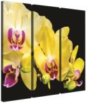 DEGRETS Vászonkép szett DEGRETS 78375, 80 x 90 cm, 3 részes (3x80x30 cm) (78375)