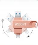 WIGONT 256GB B0FR8M97P2