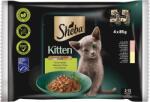 Sheba Kitten tasakos nedvestáp szószban - Finom változatosság, 4x85g - 340 g