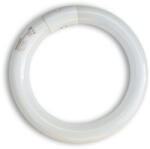  Synergetic TGX22 körfénycső 22Watt