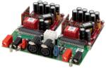 Purifi Modul Amplificator Purifi EVAL6 (EVAL6)