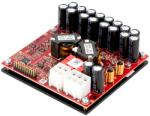 Purifi Modul Amplificator Purifi 1ET9040BA (1ET9040BA)