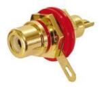 Dynavox Conector Socket RCA Dynavox CBGP-R (203296)