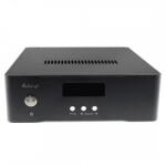 Audio-GD DAC Audio-GD R-1 NOS R2R