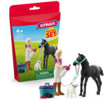 Schleich Setul de ingrijire pentru manz Schleich 42755 (42755S) Figurina